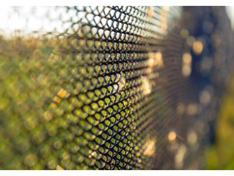 O czym należy pamiętać stawiają ogrodzenie z siatki leś