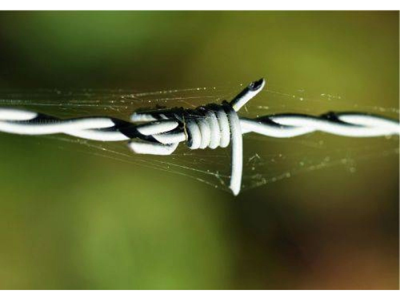 Montaż drutu kolczastego – jakie akcesoria są potrzebne?